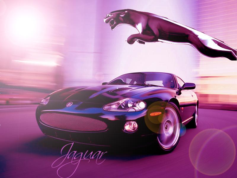 jaguar.jpg